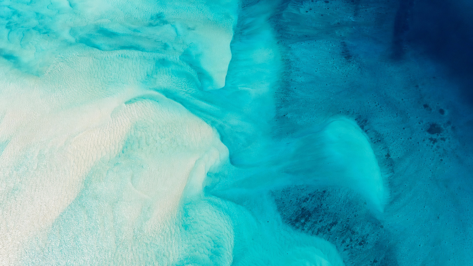 Private Speedboat Charter